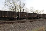 NS 10195
